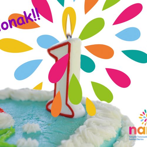 Acto de Presentación de Naizen (26-01-2019)