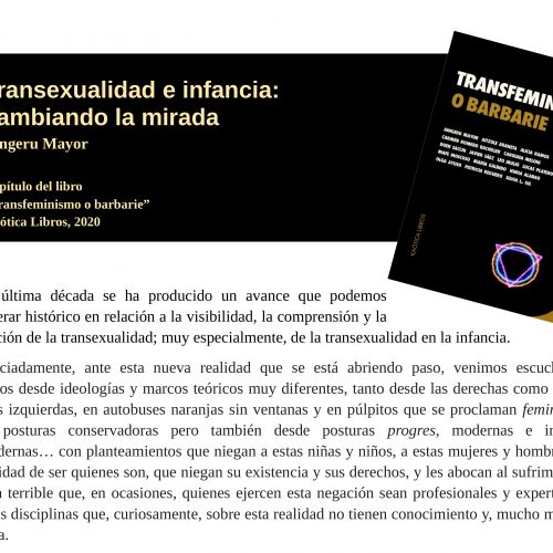 Transexualidad e infancia: cambiando la mirada (Aingeru Mayor)